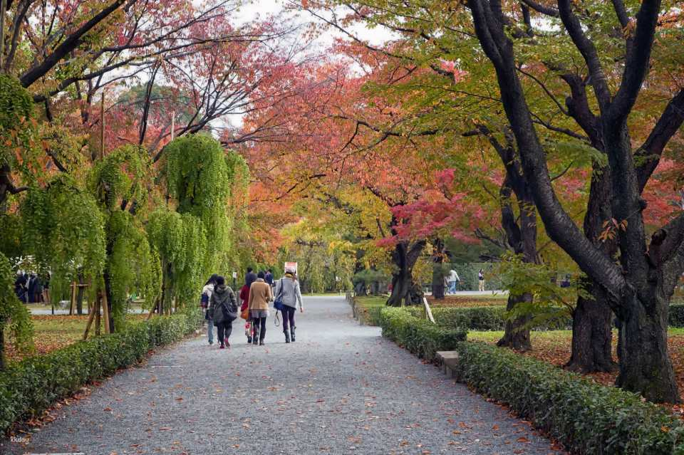 Kyoto Imperial Palace & Nijo Castle Small Group Guided Walking Tour - 3 Hour - Photo 1 of 7