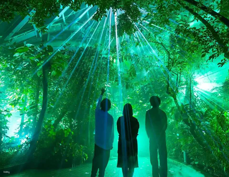 Kyoto Night Tour (One-Day Trip) | Fushimi Inari Shrine, Kinkaku-ji Temple, Kyoto Botanical Garden Light and Shadow Art, Yasaka Shrine (Departure from Osaka/Kyoto) - Photo 1 of 10