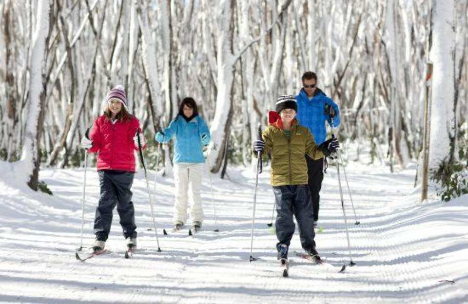 Lake Mountain One Day Snow Tour: Snow Play & Tobogganing | Melbourne - Photo 1 of 5