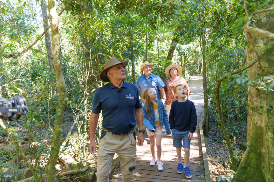 Lamington National Park, O'Reilly's & Vineyard Full Day Tour | Gold Coast - Photo 1 of 10