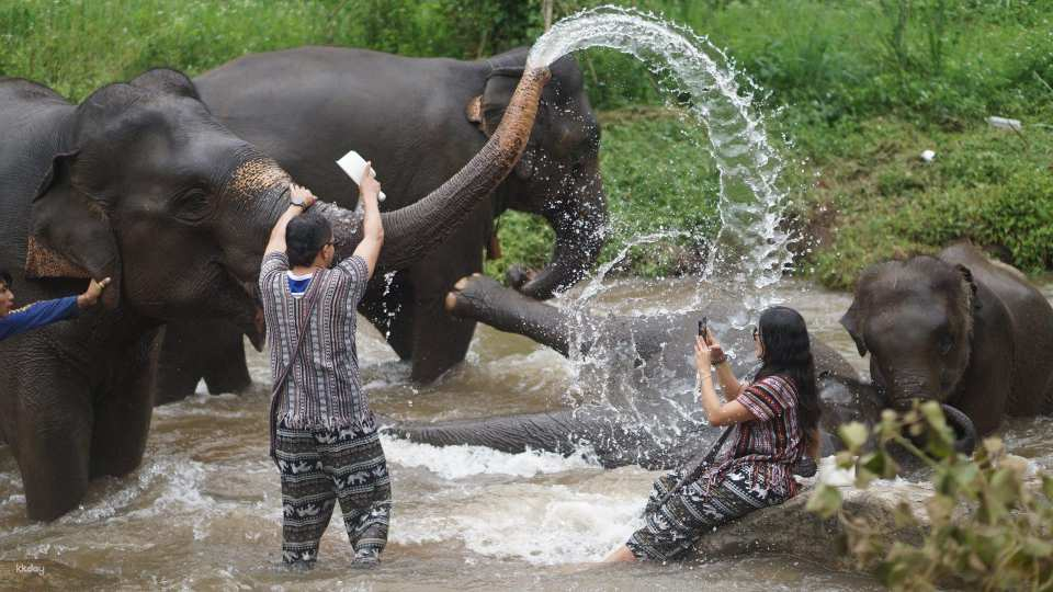Lanna Elephant Care | Chiang Mai - Photo 1 of 9