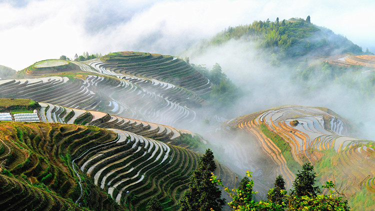 Longji Rice Terraces - Photo 1 of 9