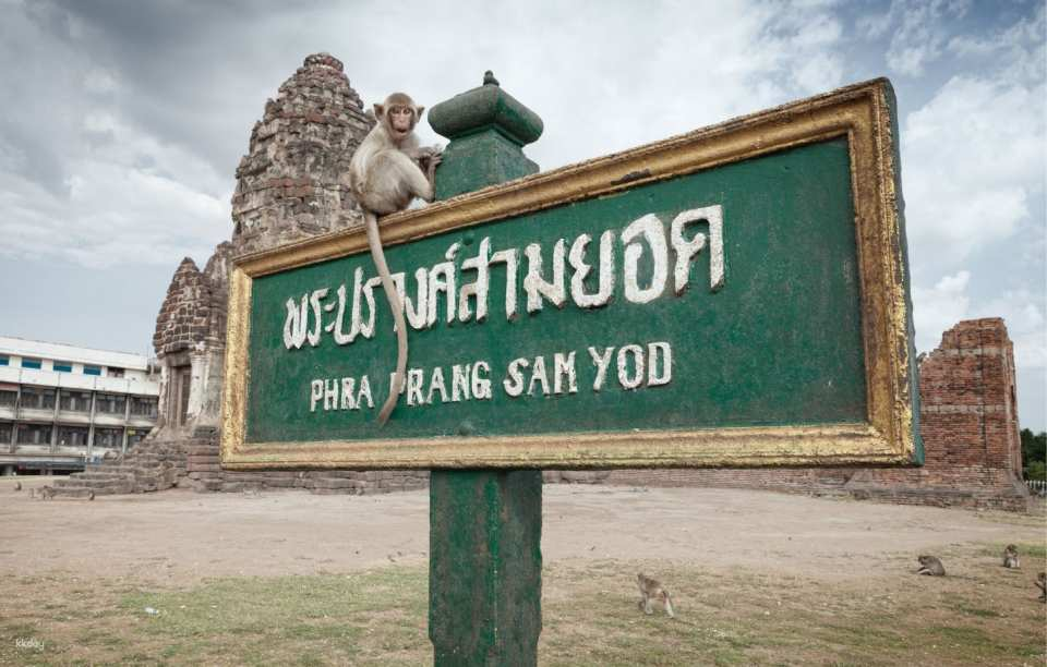 Lopburi Monkey Temple & Ayutthaya Old City Tour from Bangkok | Thailand - Photo 1 of 9