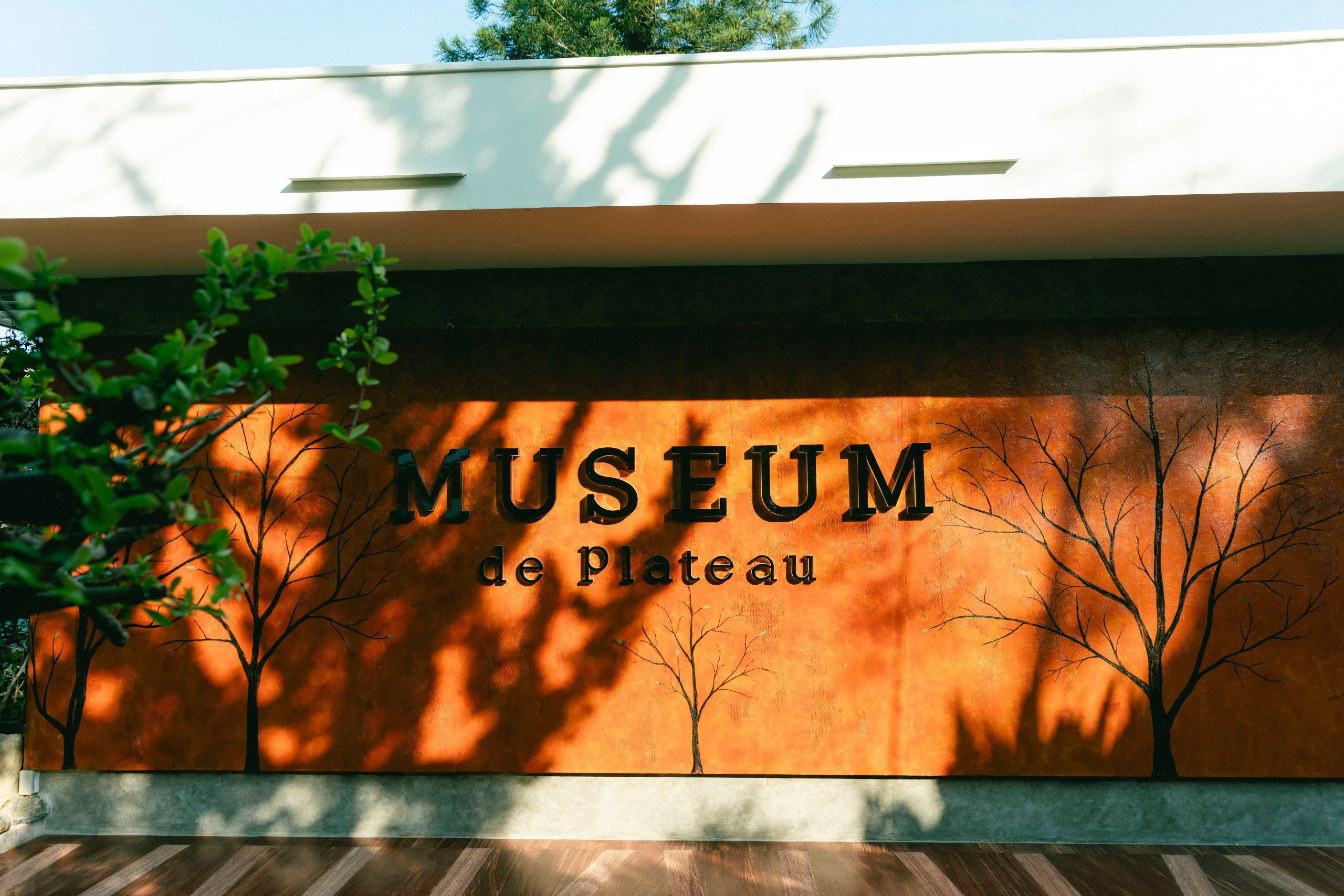 Madame De Dalat - Photo 1 of 10