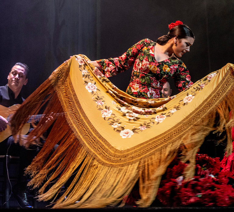 The Premium Experience at Teatro Flamenco Madrid - Photo 1 of 10