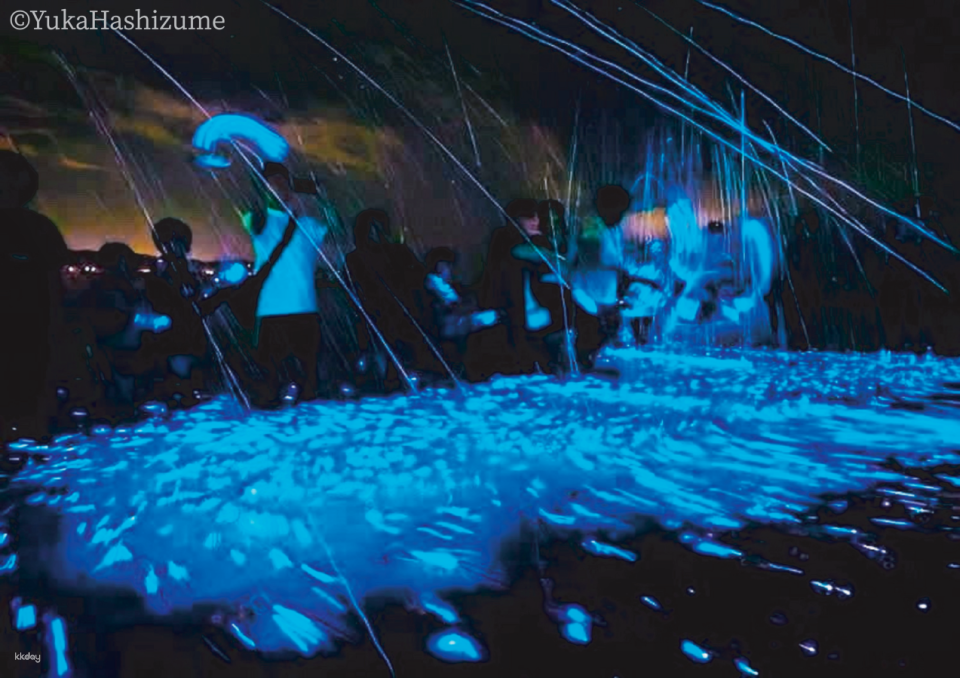Magical Blue Light Awaji Island Sea Firefly Watching Tour - Photo 1 of 16