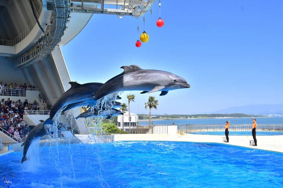Marine World Uminonakamichi Aquarium Ticket | Fukuoka - Photo 1 of 8