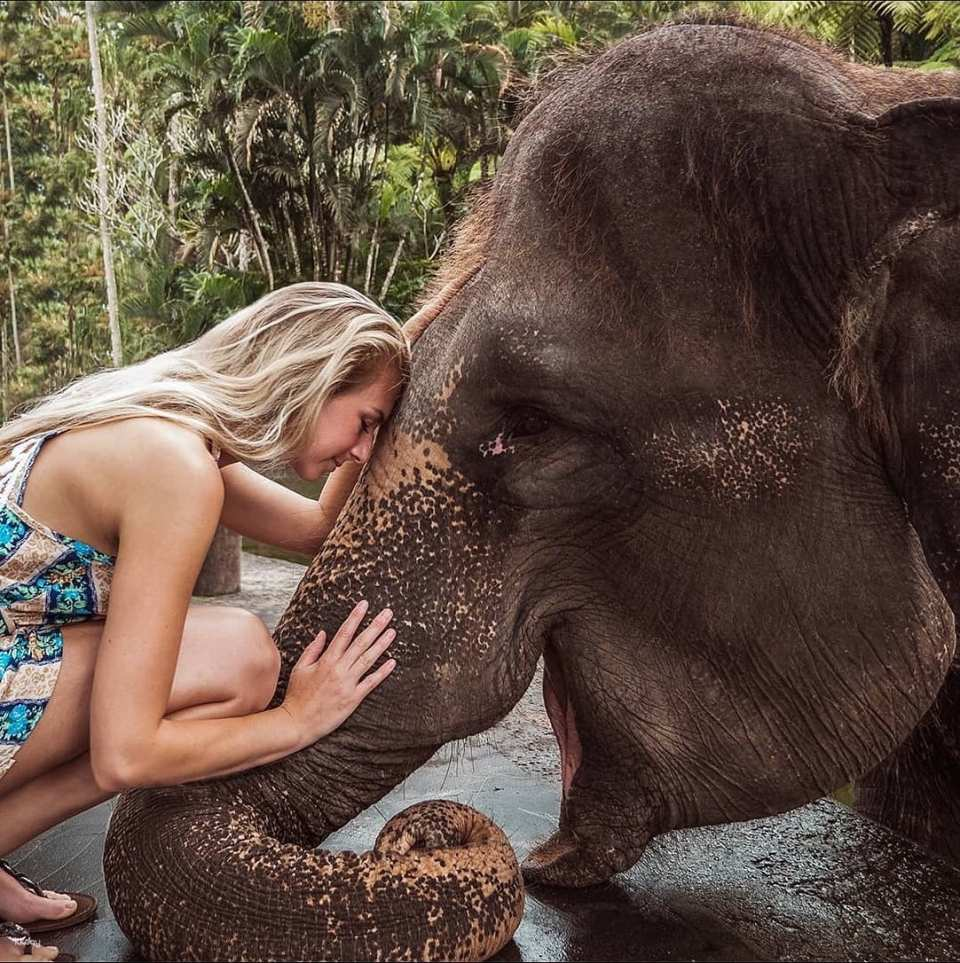 Mason Elephant Park Admission Ticket | Bali Indonesia - Photo 1 of 8