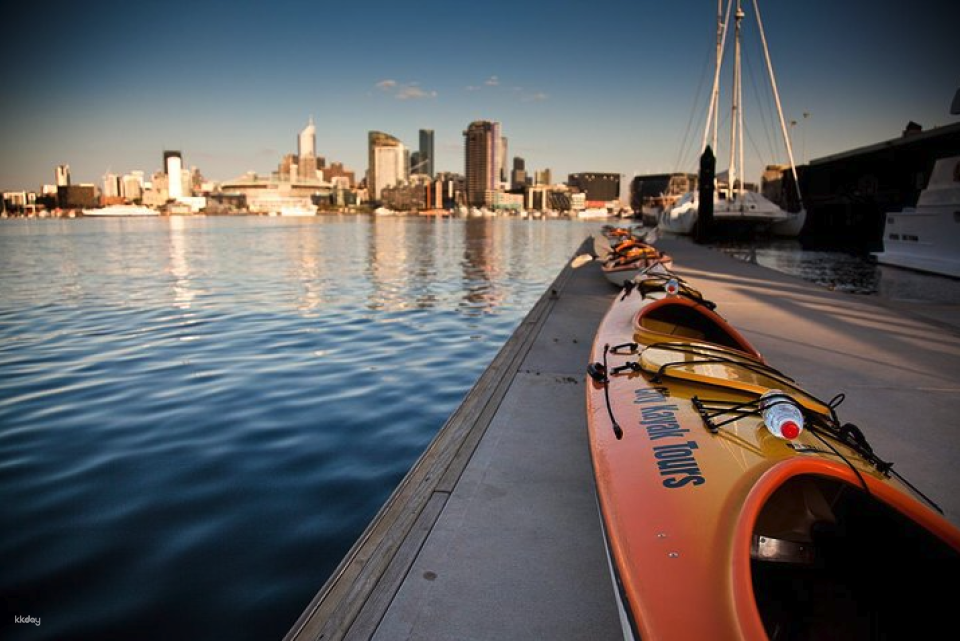 Melbourne City Moonlight Kayak Tour | Victoria - Photo 1 of 2