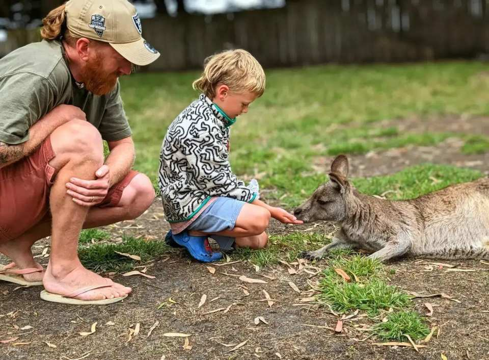 Melbourne Great Ocean Road Wildlife Park Tickets | Australia - Photo 1 of 6