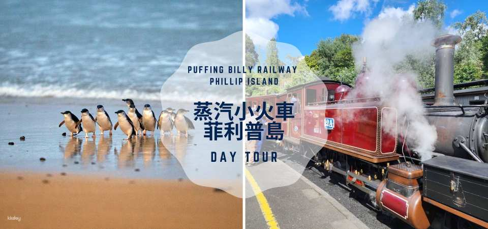 Melbourne Puffing Billy Steam Train + Phillip Island Penguin Parade 1-Day Tour | Australia - Photo 1 of 9