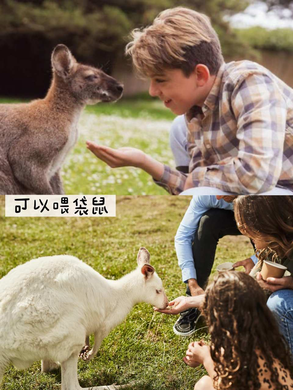 Melbourne Tickets - Great Ocean Road Zoo - Photo 1 of 3