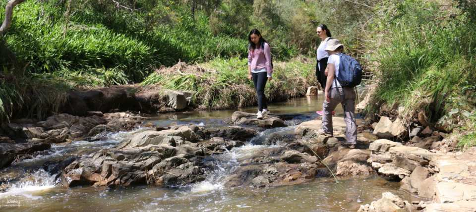 Morialta Wilderness and Wildlife Hike from Adelaide | South Australia - Photo 1 of 6