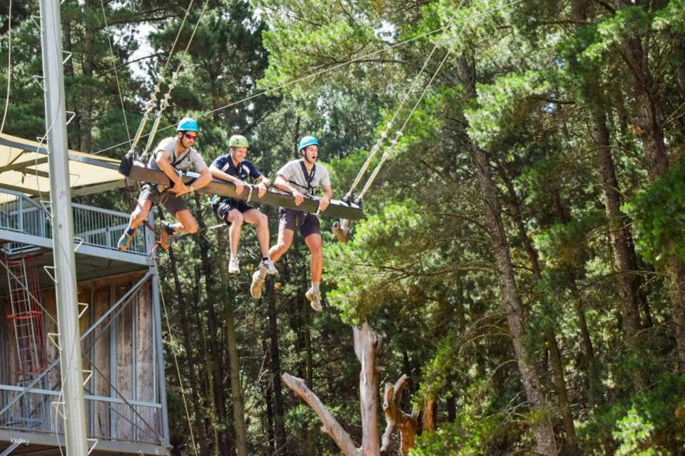 Mount Lofty Adventure Hub Experience in Adelaide | South Australia - Photo 1 of 5