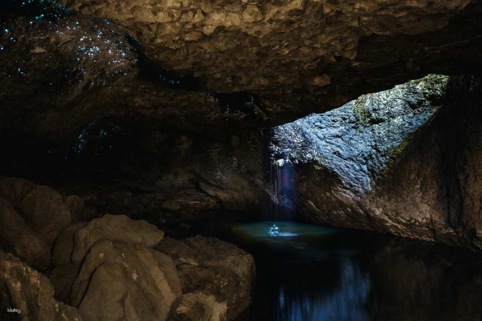 Mount Tamborine National Park Glow Worm Half-Day Tour | Gold Coast - Photo 1 of 9