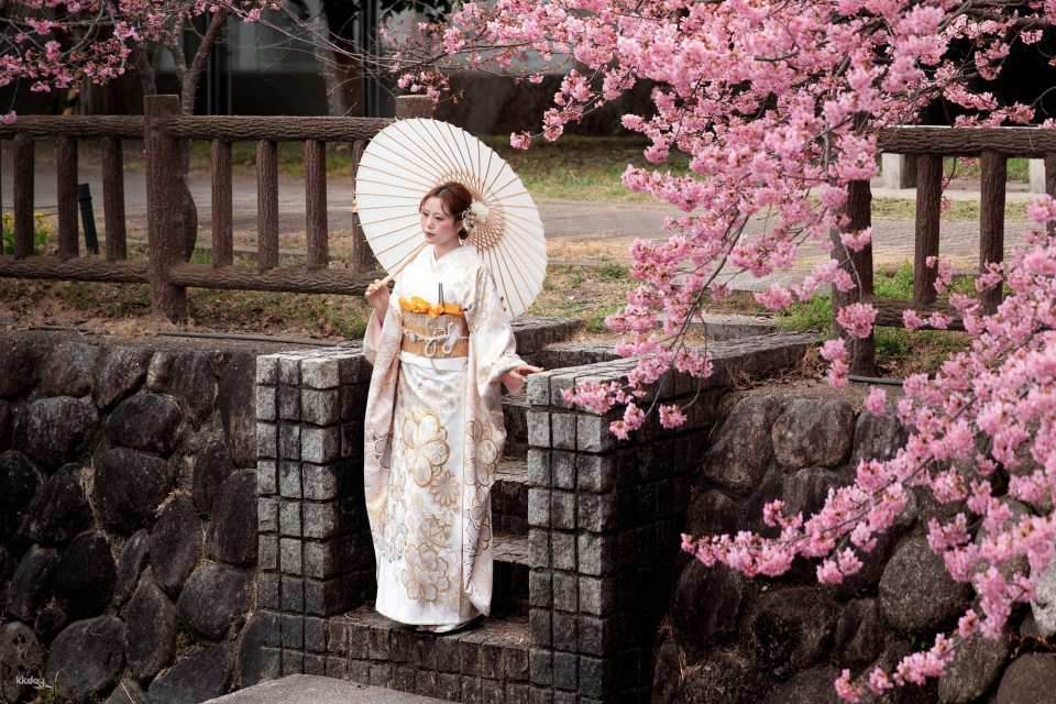 Nara Kimono Rental & Photo Shoot Experience | Kimono Rental Misaki - Photo 1 of 10