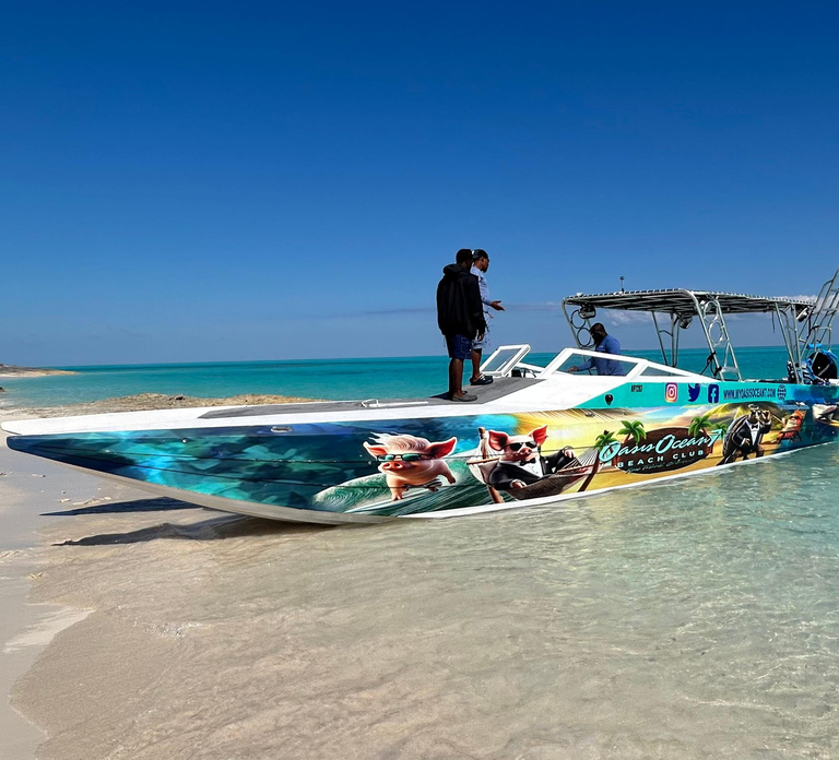 Nassau: Pigs, Snorkel, Turtles, Lunch, Private Beach Club - Photo 1 of 10