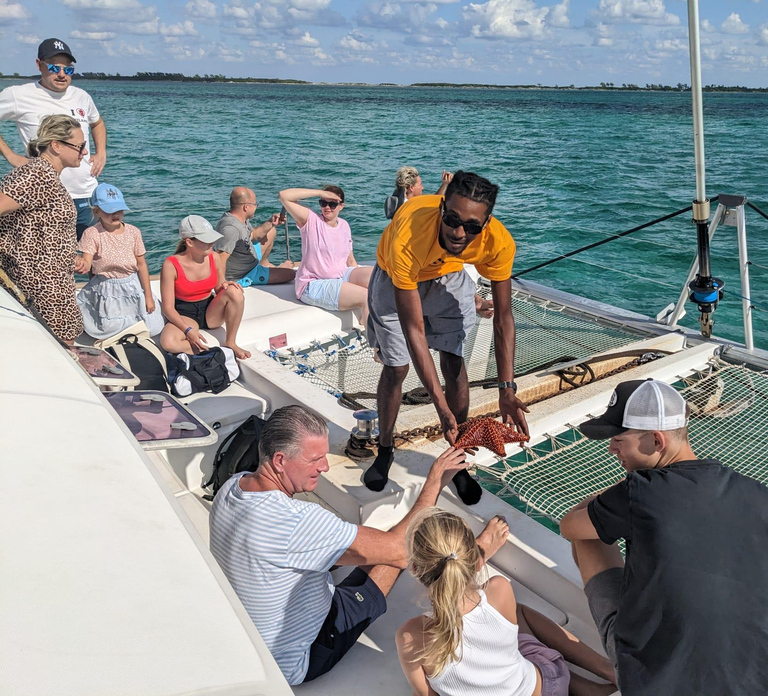 Nassau: Snorkeling, Pig Beach, Swim with Turtles, and Lunch - Photo 1 of 10