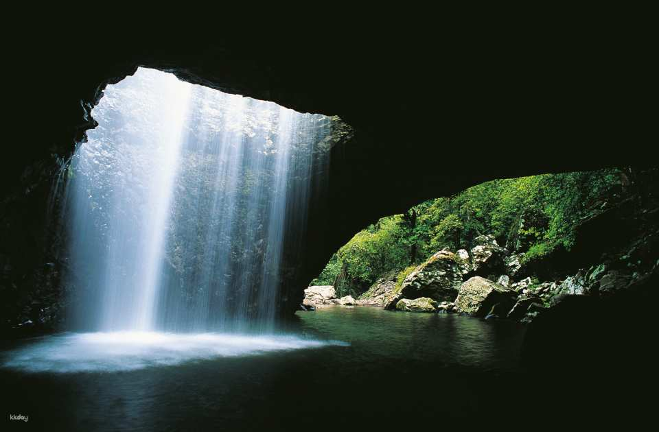 Natural Bridge & Springbrook Waterfalls Half Day Tour | Gold Coast - Photo 1 of 10