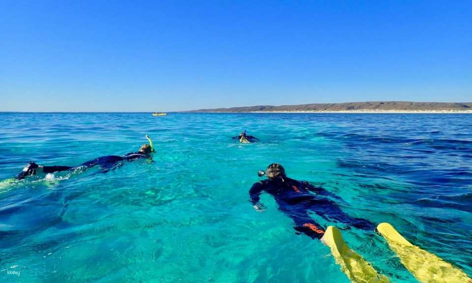 Ningaloo Reef & Range Full Day Tour with Lunch | Western Australia - Photo 1 of 7