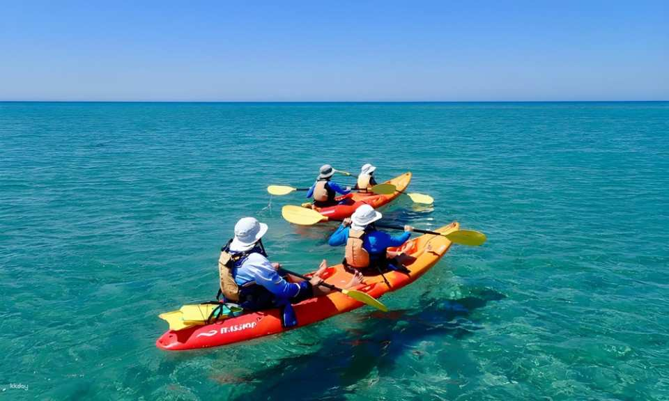 Ningaloo Reef Turtle, Kayak and Snorkel Half Day Tour | Western Australia - Photo 1 of 6