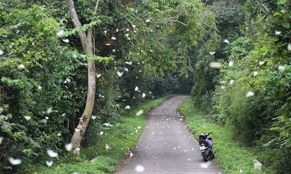 Ninh Binh / Cuc Phuong National Park & Bear Sanctuary / Departure from Ninh Binh - Photo 1 of 10