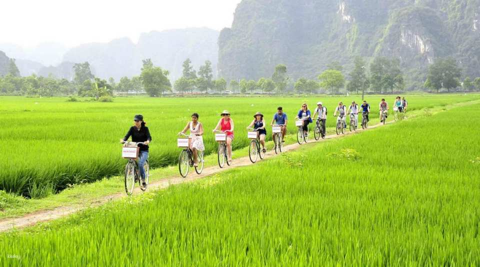 Ninh Binh Cycling Tour: Bich Dong Pagoda, Tam Coc Boat, Mua Cave & Rural Life - Photo 1 of 10