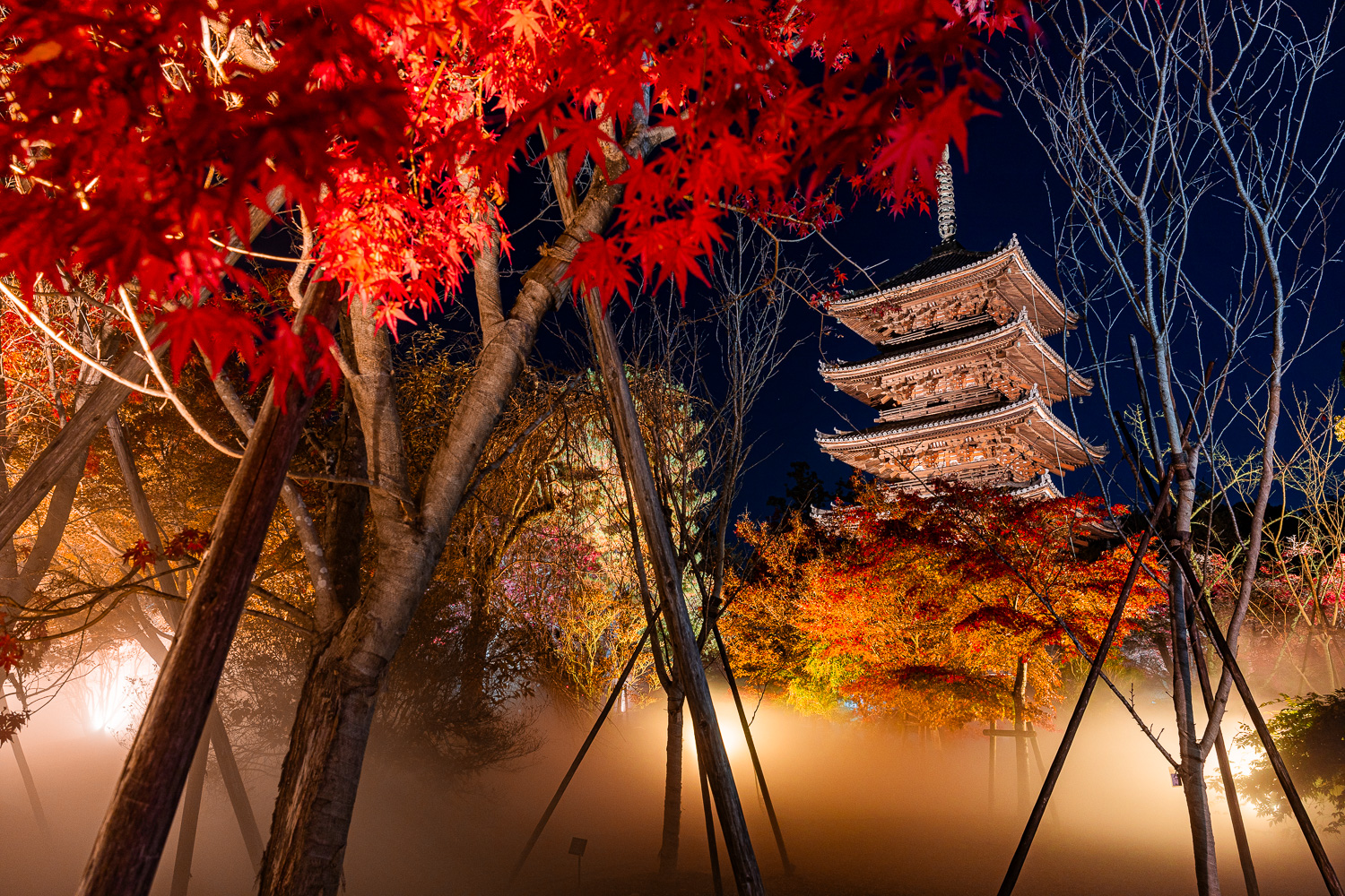 "Ninna-ji Autumn Foliage Sea of Clouds Illumination" Admission Ticket *Smooth entry with advance purchase* [Recommended for Families & Couples] - Photo 1 of 4