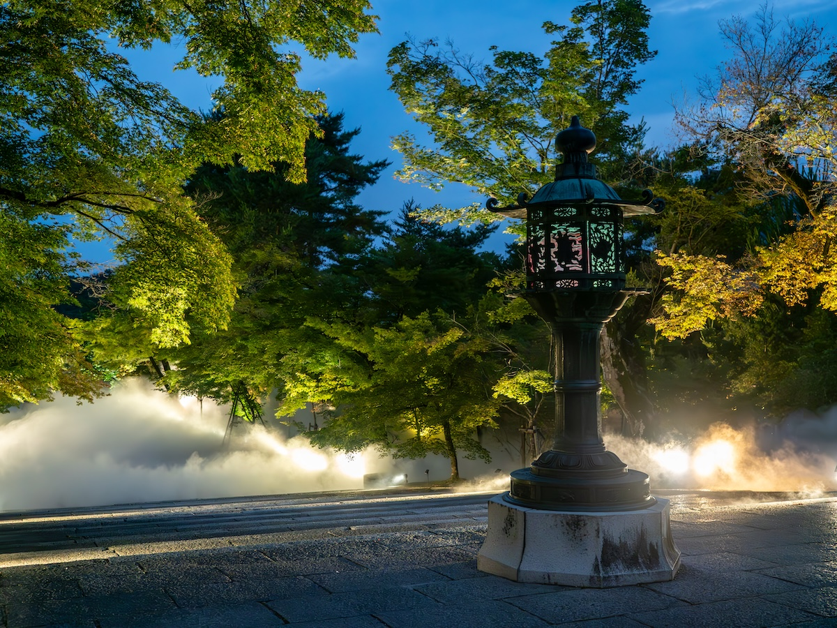 "Ninna-ji Temple: Green Maple Sea of Clouds Light-Up" Admission Ticket — Purchase in Advance for Smooth Entry — (Recommended for Families & Couples) - Photo 1 of 6