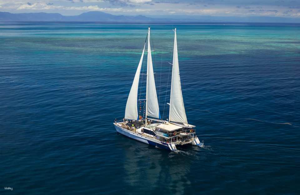 Ocean Spirit Cruises | Michaelmas Cay on Great Barrier Reef Day Cruise Tour | Australia - Photo 1 of 18