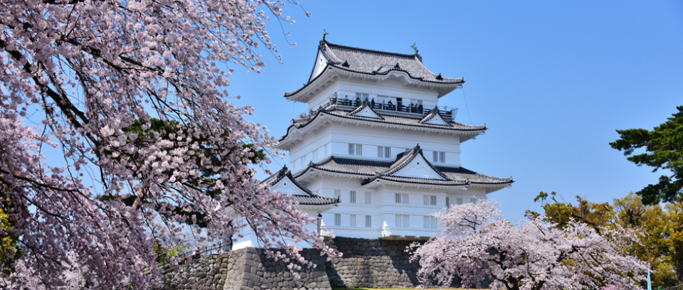Odawara, Kanagawa Prefecture, Japan | Odawara Castle Keep + Tokiwa Gate SAMURAI Museum E-ticket - Photo 1 of 10