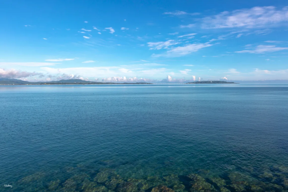 Okinawa Asumui Rock Hiking Experience | Ryukyu Mythical Forest Tour - Photo 1 of 5