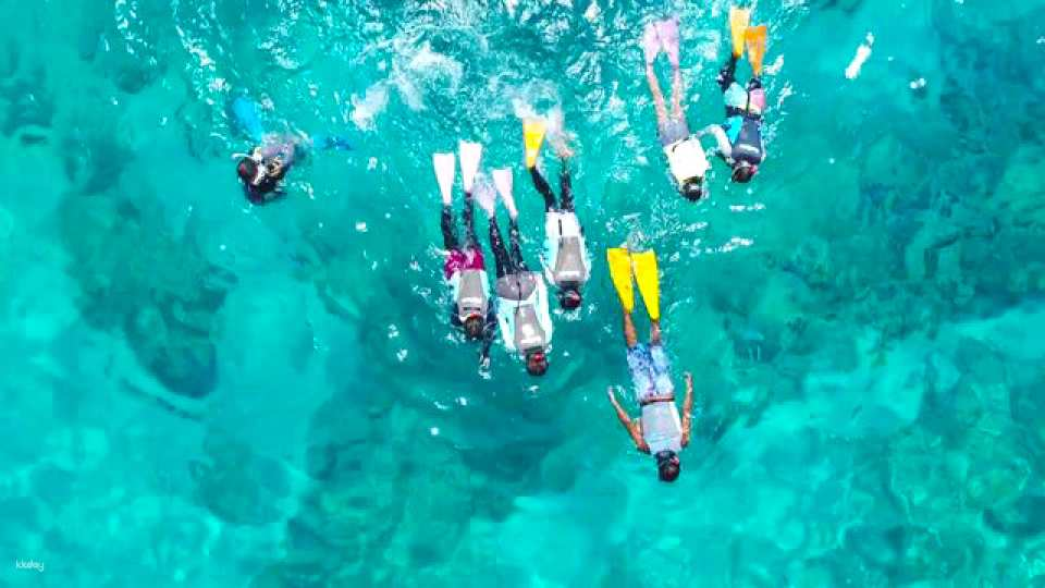 Okinawa, Japan | Kerama Islands half-day snorkeling + fish feeding experience | optional water activities / parasailing / mysterious sea turtle exploration package | including free round-trip transfers from Naha city & photography - Photo 1 of 9
