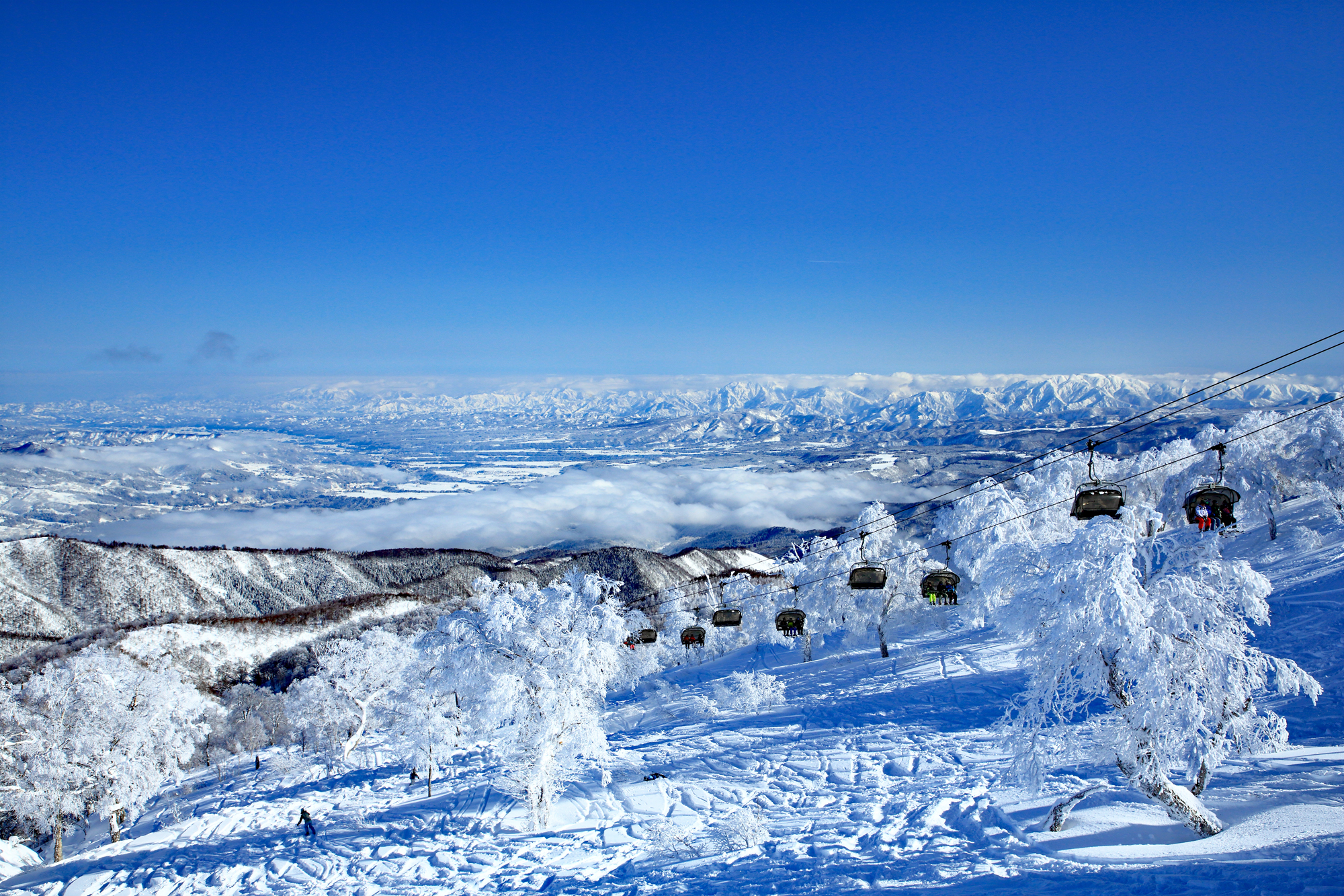 One-Way Daytime Bus from Nozawa Onsen Ski Resort to Ikebukuro and Shinjuku with Rental Discount Ticket Plan - Photo 1 of 7