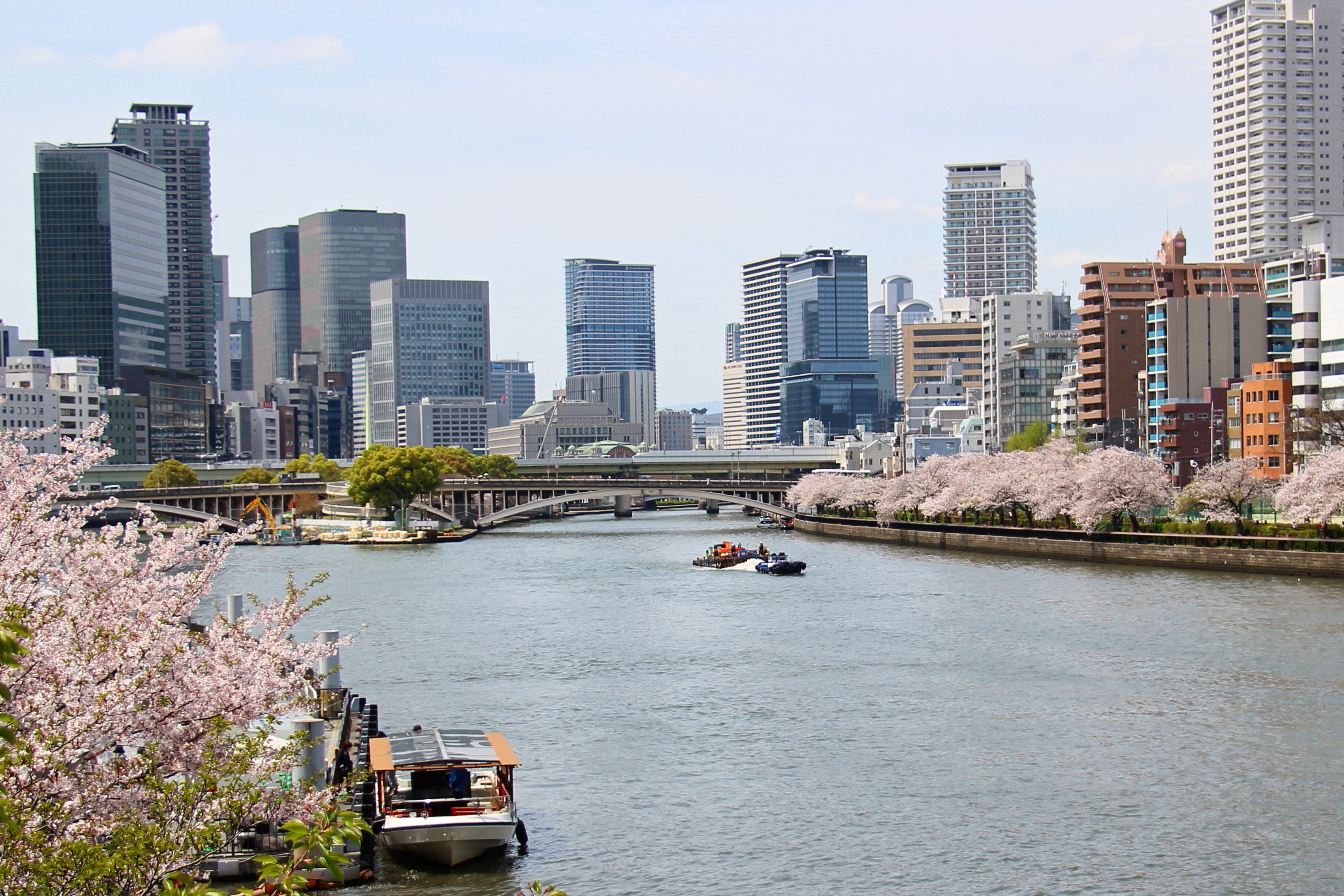 Osaka Okawa Sakura Cruise - Photo 1 of 7