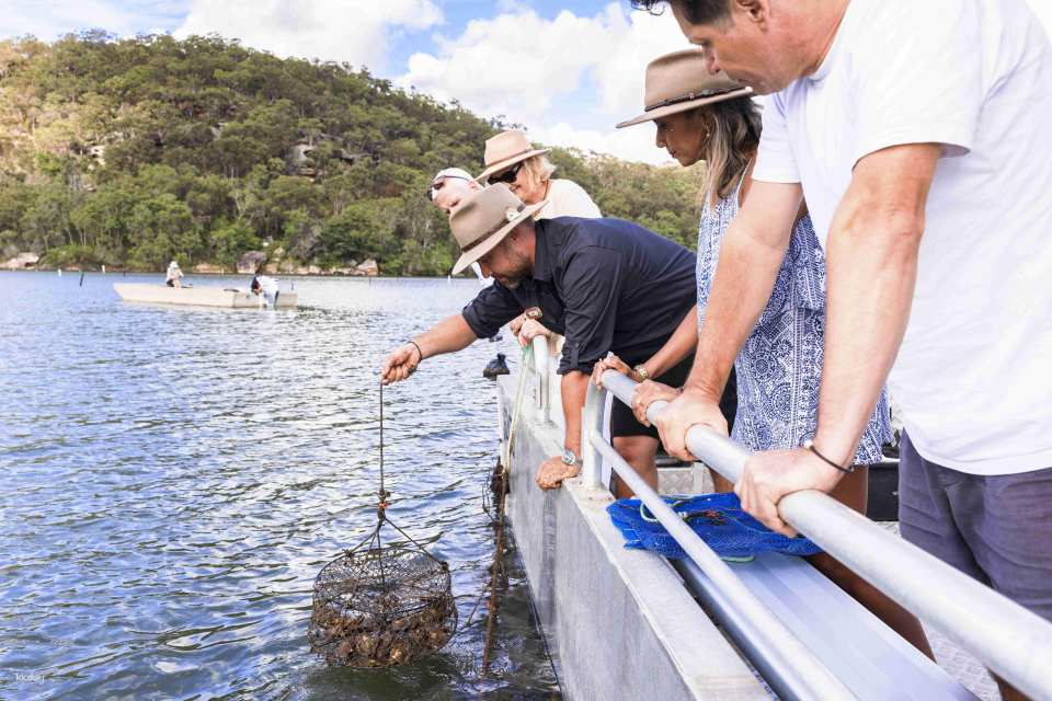 Oyster & Pearl Lovers Tour: Secrets of Pearling, Farm Cruise & Oyster Tasting | New South Wales - Photo 1 of 10