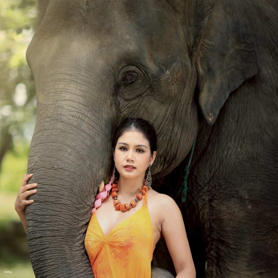 Chiang mai Pang Dee Dee Elephant Half Day Tour - Photo 1 of 10