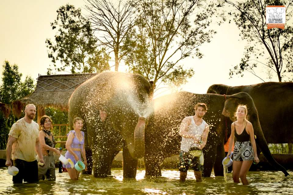 Pattaya Elephant Jungle Sanctuary Experience | Thailand - Photo 1 of 10