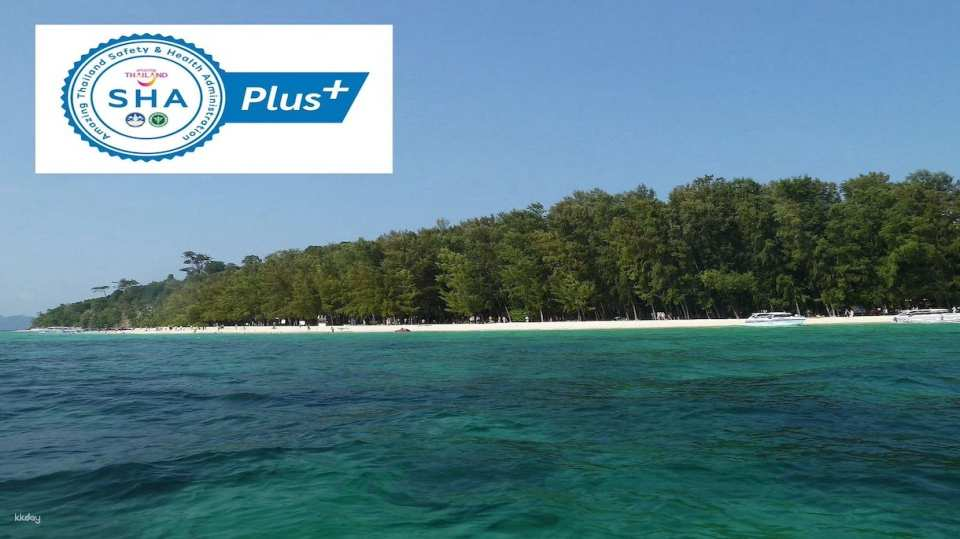 Phi Phi Islands and Bamboo Island: A Full-Day Speedboat Adventure - Photo 1 of 8