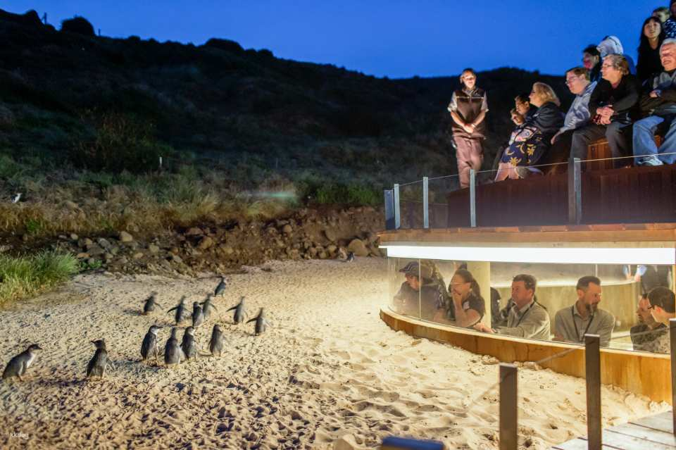 Phillip Island Nature Parks Individual and Combo Tickets: 3 Parks Pass | Melbourne - Photo 1 of 8