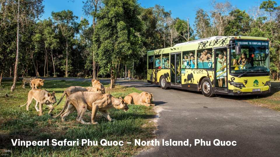 Phu Quoc Private North Island Day Tour | Safari, Grand World, Gondola Ride | Departure from Phu Quoc | aloba01 - Photo 1 of 10