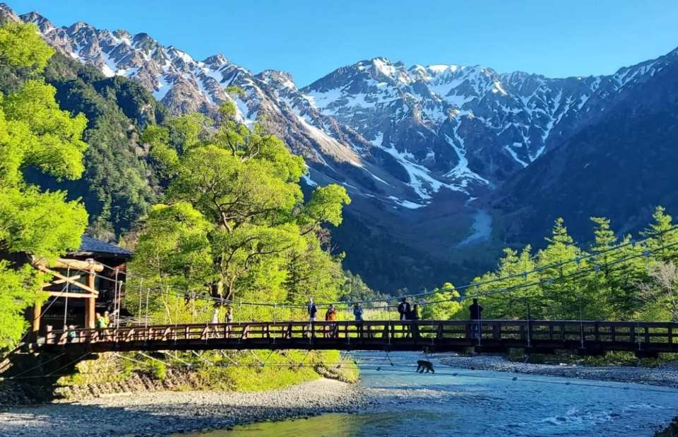 Private charter car Tour: One-Day Trip to the Upper Alps of Japan | Taisho Pond | Kappa Bridge | Departing from Nagoya - Photo 1 of 8
