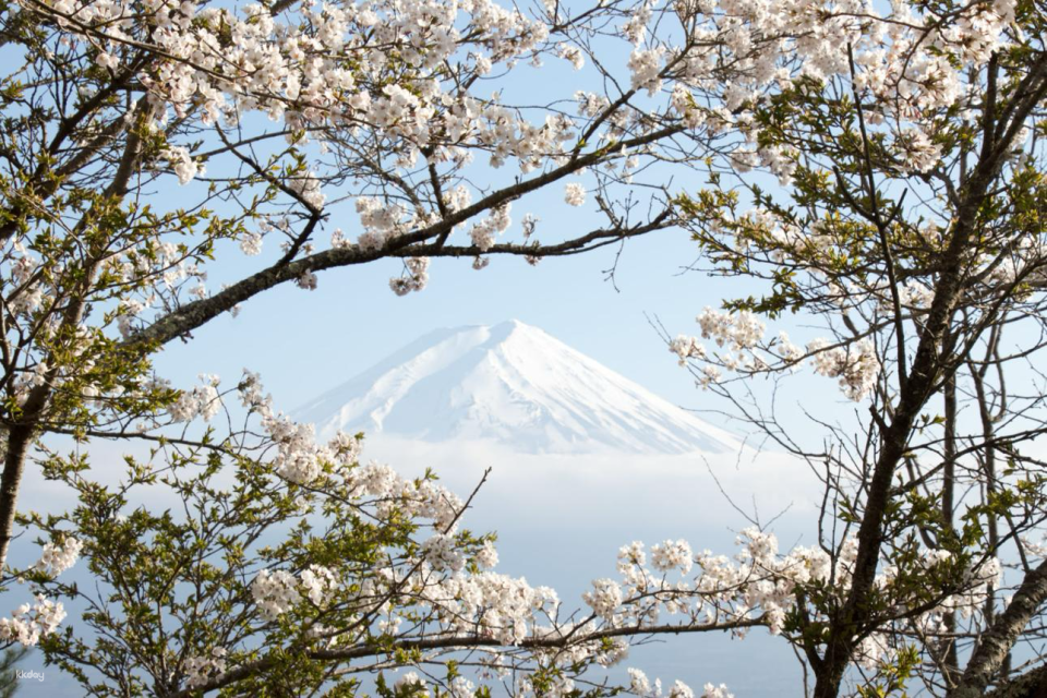 Private charter car tours around Tokyo | Choose from 7 popular routes (Mt. Fuji/Hakone/Kamakura, etc.) - Photo 1 of 10
