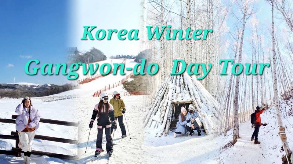 [Private Charter] Gangwon-do hot spot day tour l Yongpyong Balwangsan Cable Car (Goblin filming location), Daegwallyeong Samyang Ranch, Seorak Mountain, Inje Birch Forest, etc. (from Seoul/Airport) - Photo 1 of 10