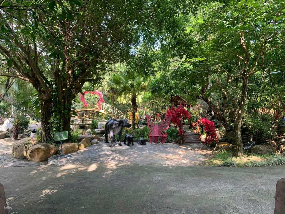 Private Mount Than Tai Tour with Hot Springs & Nature Escape | Pick up from Da Nang, Vietnam - Photo 1 of 8