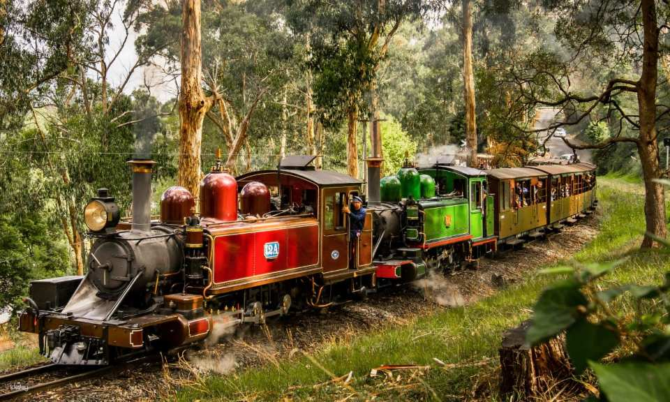 Puffing Billy, Forest Trails & Yarra Valley Discovery Tour from Melbourne | Victoria - Photo 1 of 10