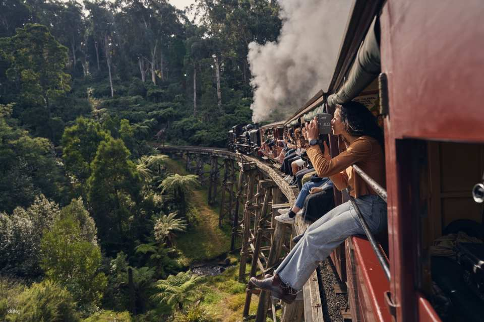 Puffing Billy Rainforest Melbourne Day Tour | Australia - Photo 1 of 4