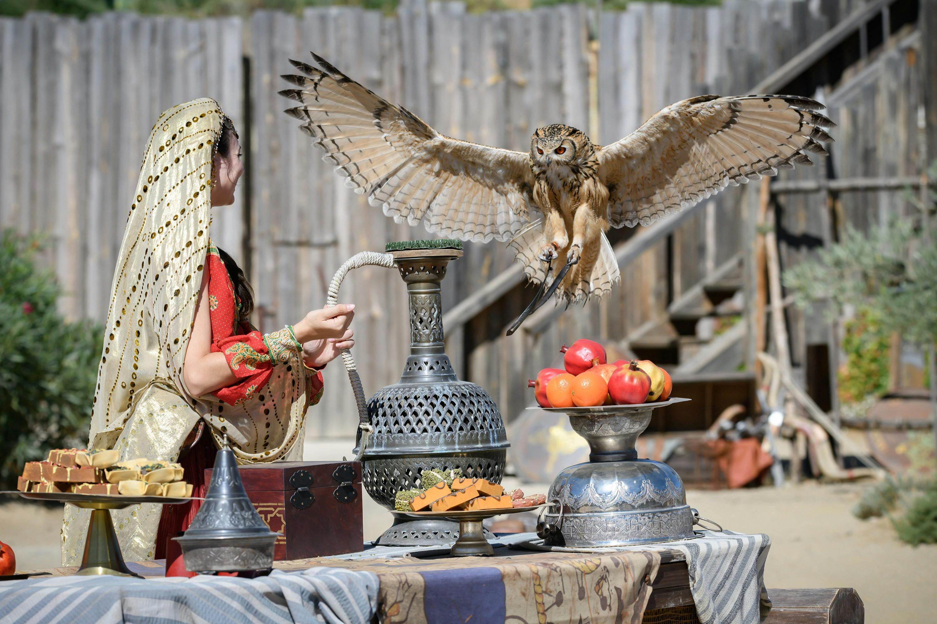 Puy du Fou España: Entry Ticket + Roundtrip Transport from Madrid - Photo 1 of 8