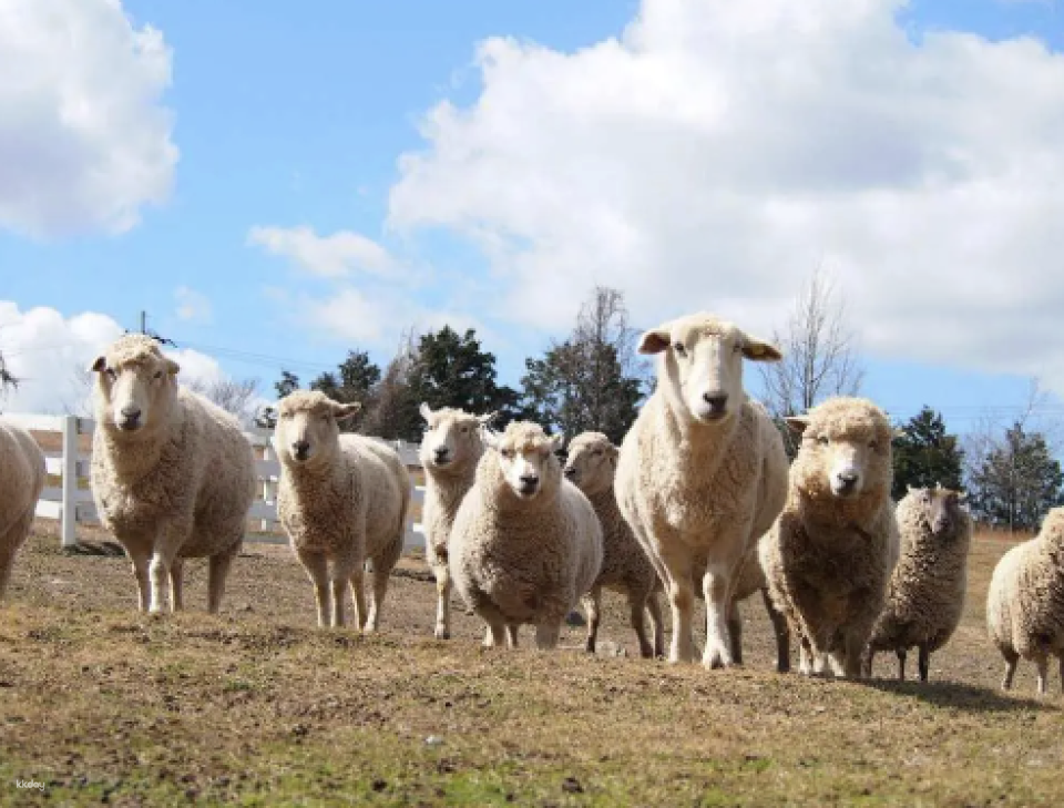 Osaka, Japan | Sakai Green Museum Harvest Hill Natural Farm - Photo 1 of 8