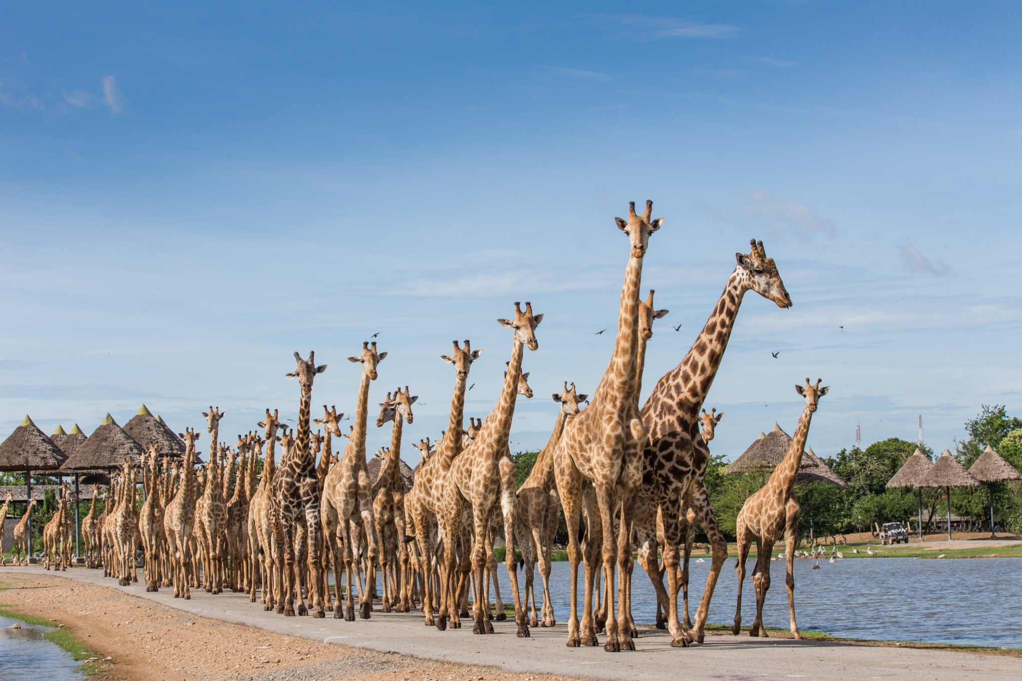 Safari World Bangkok (Safari & Marine Parks) - Photo 1 of 25